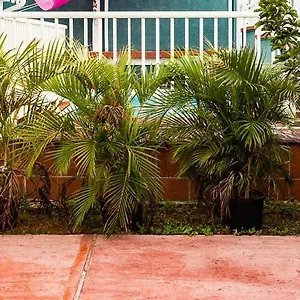 Campeche Sainte-Anne (Grande-Terre)